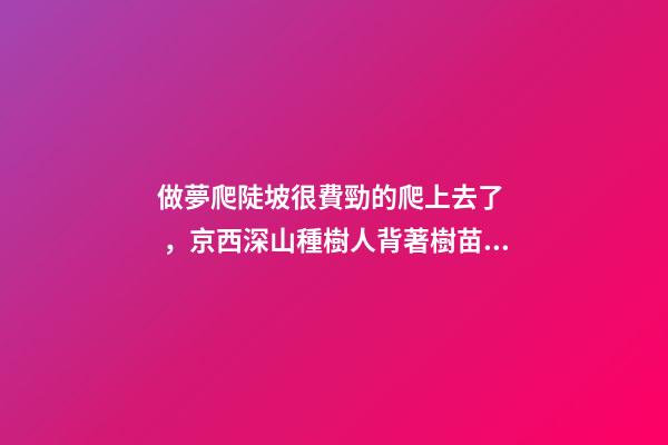 做夢爬陡坡很費勁的爬上去了，京西深山種樹人背著樹苗爬坡-第1張-觀點-玄機派
